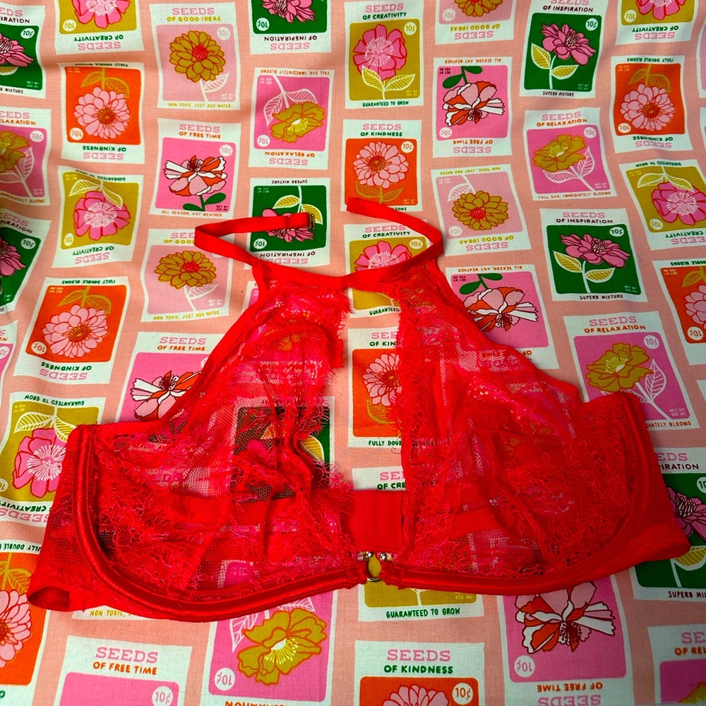 NWT Victoria’s Secret very sexy high neck lace bra